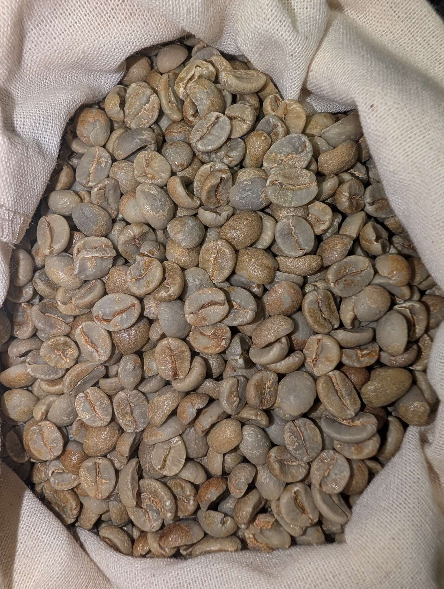 Brazil Natural, Cerrado, Daterra Summer Solstice